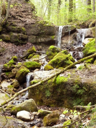 Natur pur in der Feuersteinschlucht.