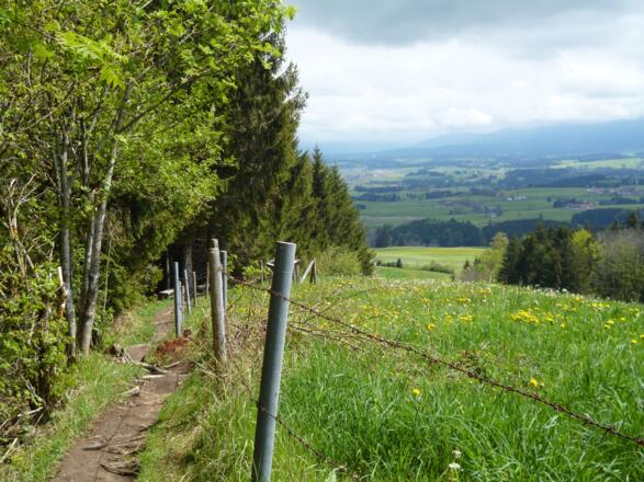 Im unteren Teil führt der Jägersteig panoramareich am Waldrand entlang.