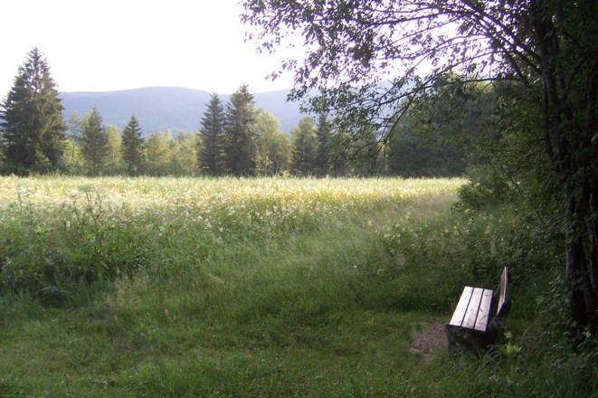 Ruhebank im Inzeller Moor am Rande  der Kalorienpromenade