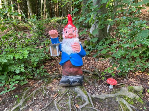 2020-07-Märchenwanderweg TVB-Martina Riedl (9)