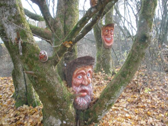 Waldgeister am Biotop