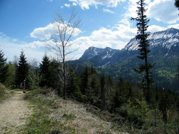 auf dem Weg von der Bäckeralm nach Adlgaß