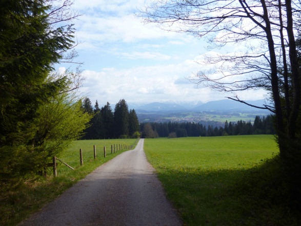 Direkt auf die Alpenkette zu geht es von der Schnalz hinunter nach Holzleithen.
