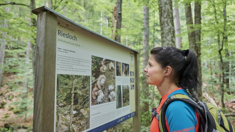 Rißlochschlucht