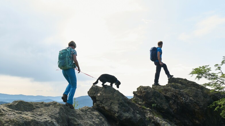 Unterwegs mit Hund