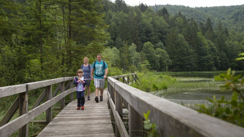 Über den Steg am Frillensee