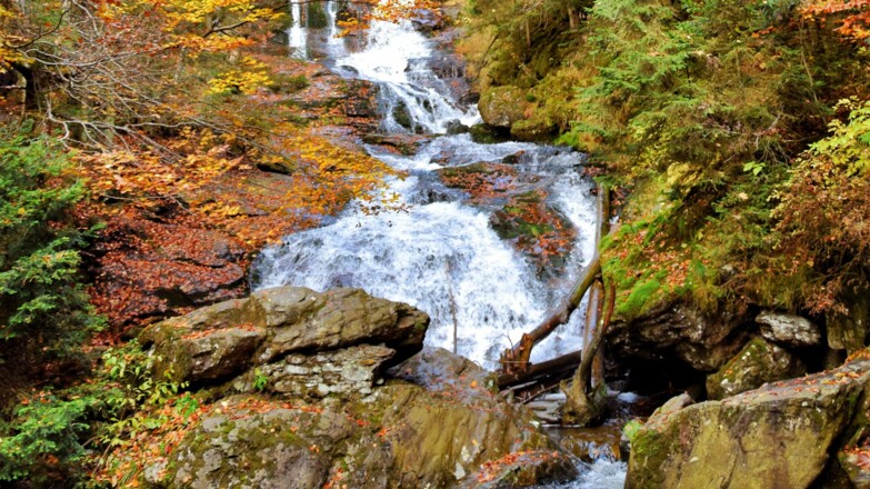 Rißlochschlucht