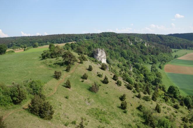 Wacholderheide bei Dollnstein