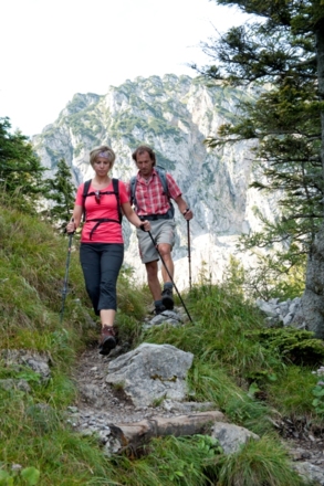 Abstieg von Staufen Richtung Adlgaß/Inzell
