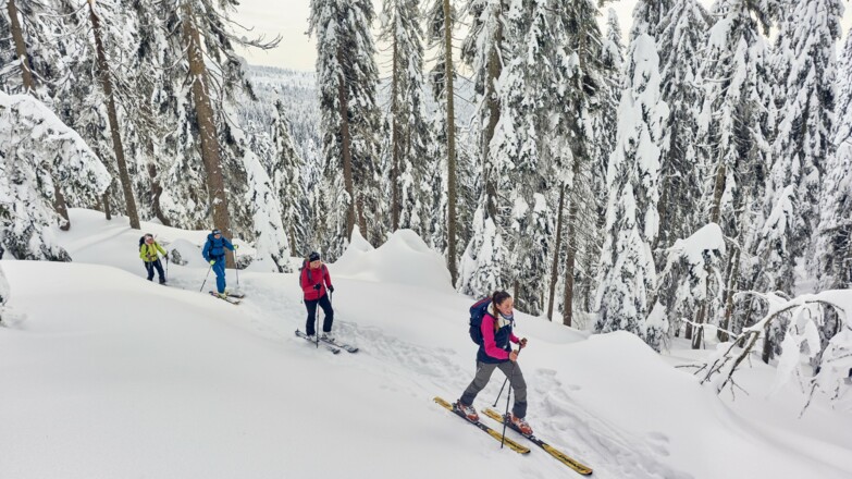 Skitourtag in Bodenmais