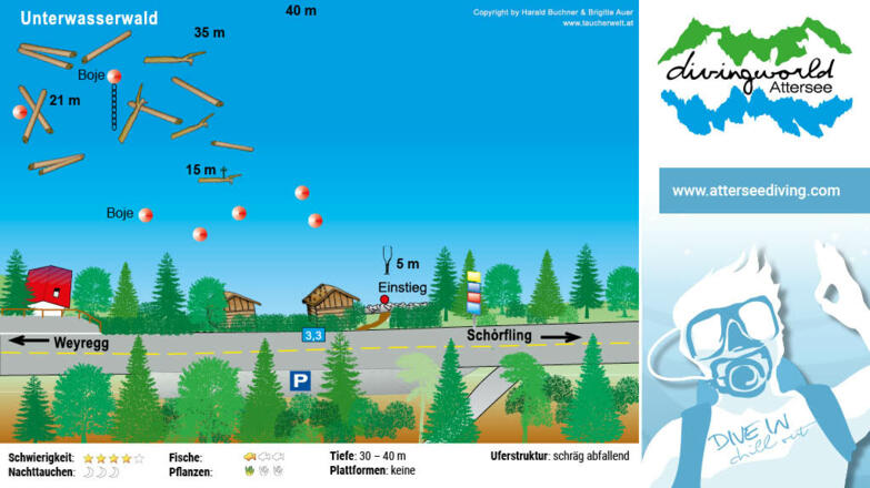 tauchplatz_unterwasserwald