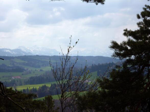 Vom Kreuz an der Schnalz bietet sich ein herrlicher Blick auf die Alpenkette.