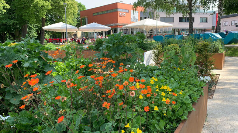 TD-Gustav-Klimt-Garten-Gustav-Klimt-Foundation-3