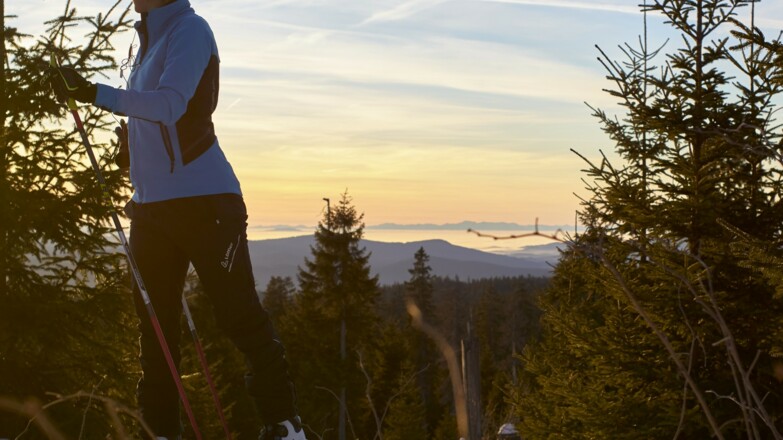 Ski- + Schneeschutour Bodenmais