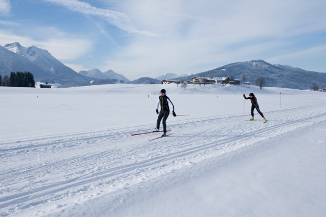 Die Inzeller Berge im Blickfeld