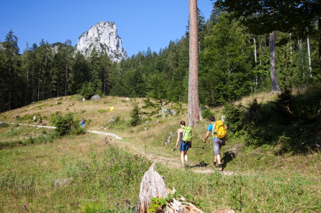 Erster Blick auf die Wand