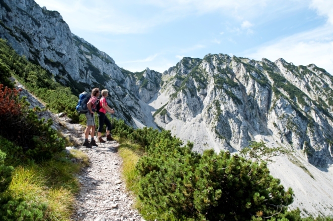 Ein Blick auf das Staufenmassiv Inzell