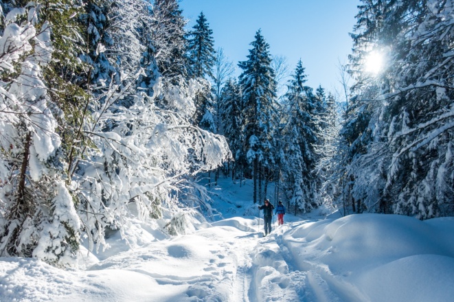 Gemütlich gehts auf der Forststraße hinaus nach Aurach.