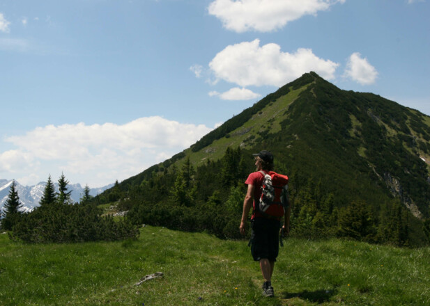 Sattel zwischen Bischof und Hohen Fricken