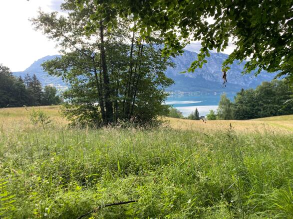 2020-07-Märchenwanderweg TVB-Martina Riedl (24)