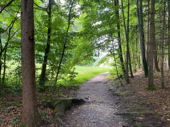2020-07-Märchenwanderweg TVB-Martina Riedl (8)