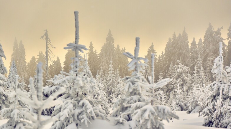 Skitour