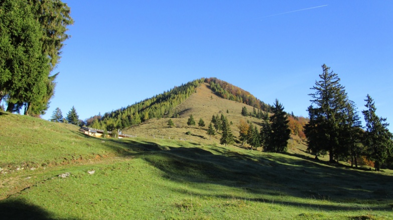Oberauer Brunstalm und Hochplattenanstieg
