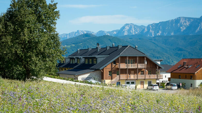 Bienenhof Attersee mit Blick auf das Höllengebirge