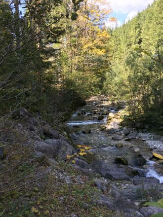 Der Schwarzenbach