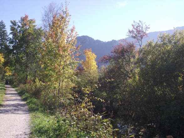 An der roten Traun entlang - Panorama  Nordic Walking Tour Inzell/Chiemgau