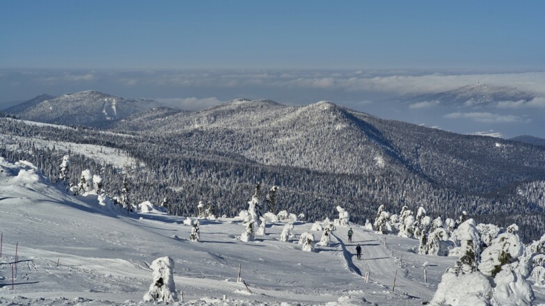 Schlittenfahrt vom Arber nach Bodenmais
