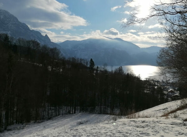 Rodelbahn_Alte_Grossalm_Aussicht_Tourismusverband_Attersee-Attergau_Asisa_WiespointnerTD