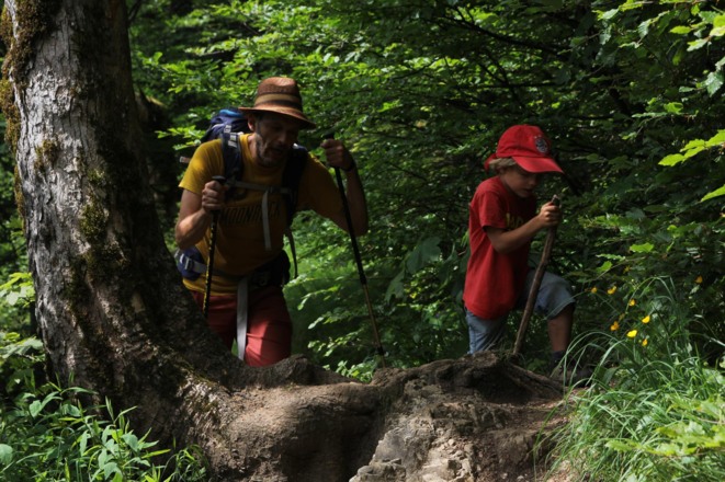 Zustieg im Wald