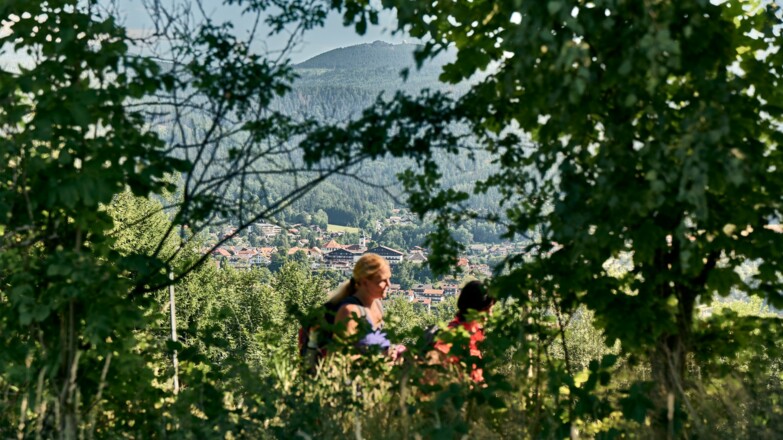 Wandern in Bodenmais