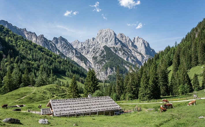 Blick über die Bindalm zu den Mühlsturzhörnern