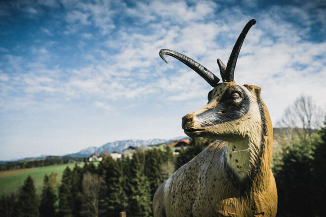3-D Bogensport USC Attergau, Straß im Attergau