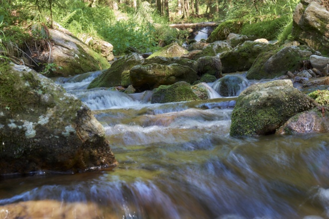 Wandern