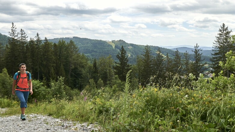 Wandern