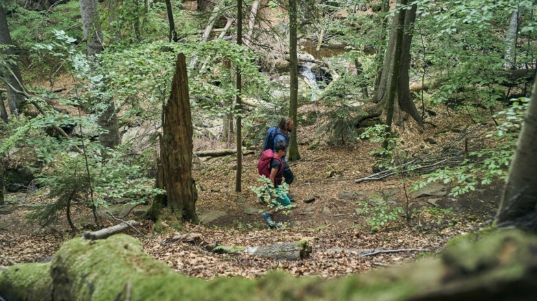 Wandern in der Rißlochschlucht