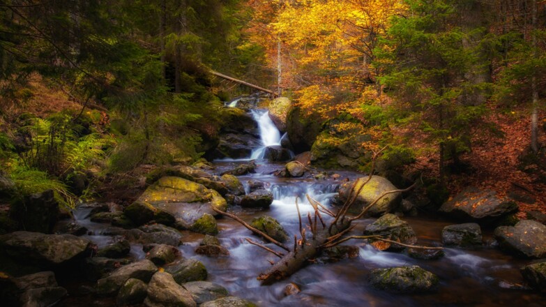 Rißlochschlucht