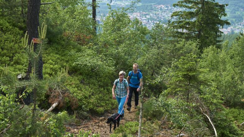 Wandern mit Hund