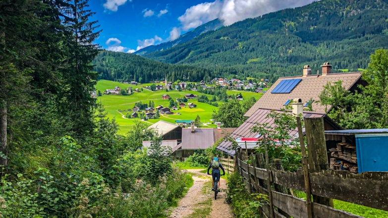 Eschenweg oberhalb Gosaubach