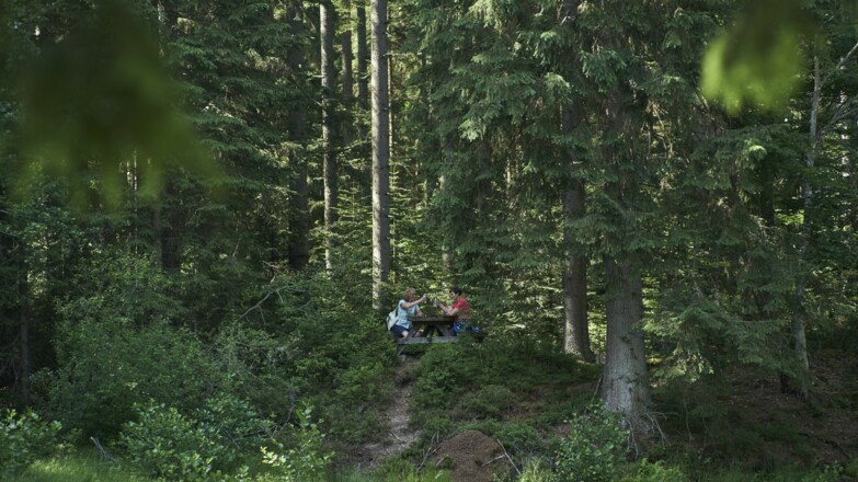 Brotzeit am Schwellweiher
