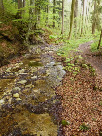 Teilweise führt der Weg direkt am Bach entlang.
