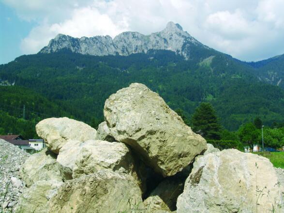 Gesteinstrümmer des Saeulingbergsturz in Pflach