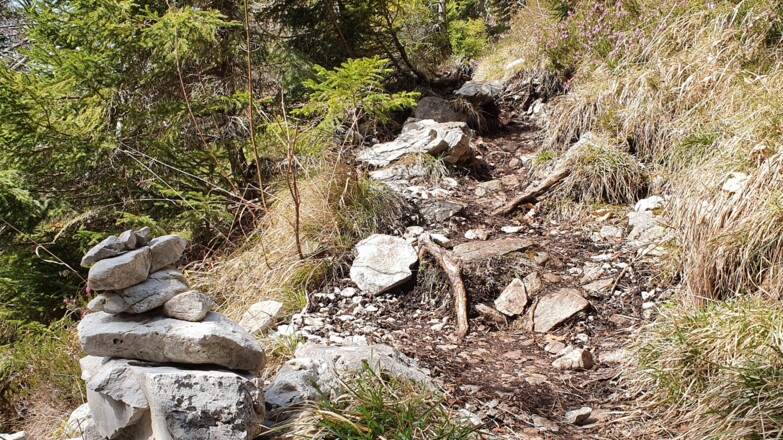 Steig auf das Kienbergl