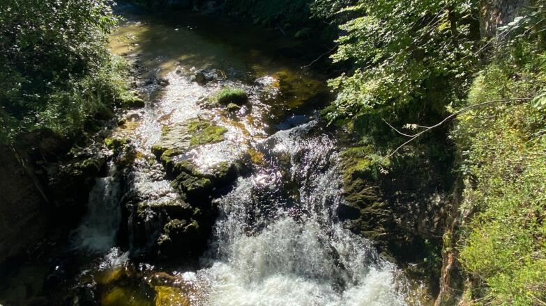 Gimbach Kaskaden Weissenbach