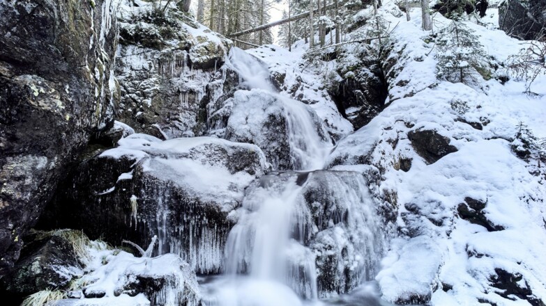 Ski- + Schneeschuhtour Rißloch