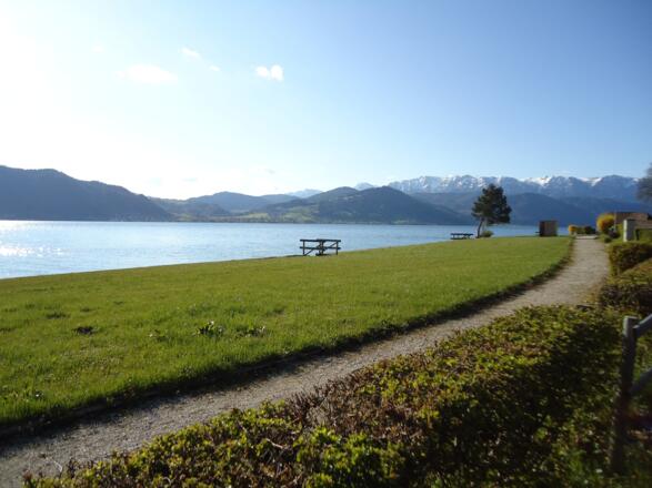 Taucheinstiegsstelle Attersee