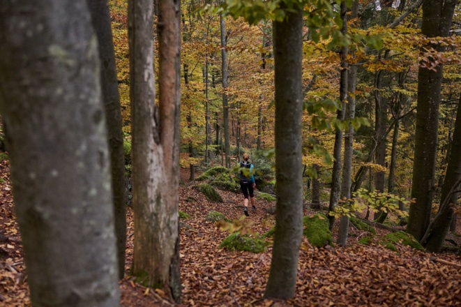 Trailrunning